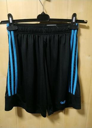 Чоловічі шорти.