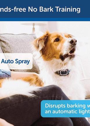 Ошейник petsafe spray bark, автоматическое устройство защиты от лая для собак весом от 8 фунтов2 фото