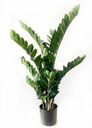 Заміокулькас середній штучний в горщику 115 см