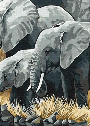 Картина по номерам "семья слонов" от1 фото