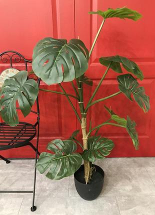 Монстера штучна у горщику 115 см