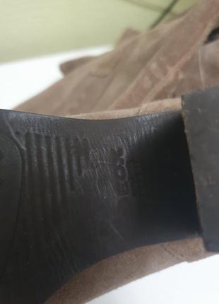 Стильні ботфорди з натуральної замші