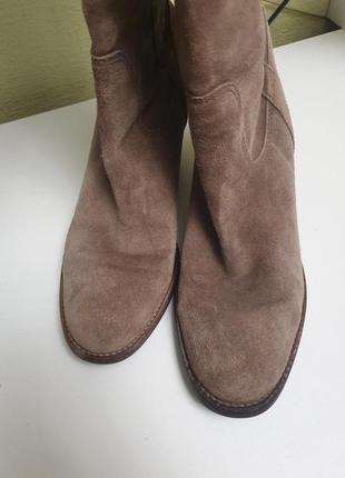 Стильні ботфорди з натуральної замші