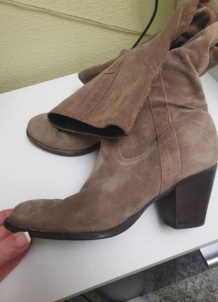 Стильні ботфорди з натуральної замші