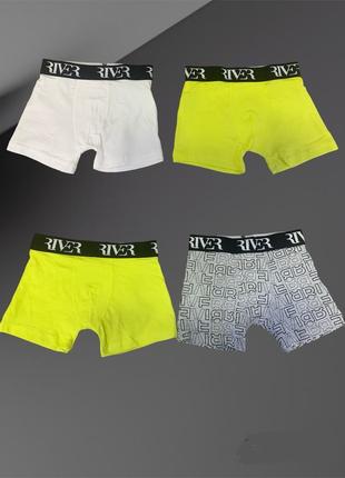 Трусы-боксеры 4 шт river island 4/5 лет 110 см