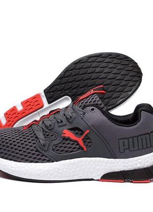 Мужские летние кроссовки сетка puma grey