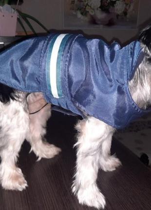 Собача жилетка karlio flamingo