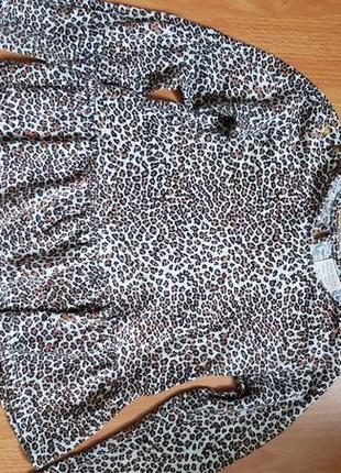 Стильнная кофточка zara