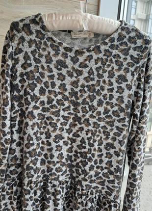 Тепленькое платье zara 10-11л леопардовое платье zara 7