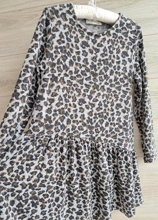 Тепленькое платье zara 10-11л леопардовое платье zara 2
