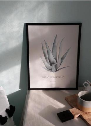 Постер ботанічний декор2 фото