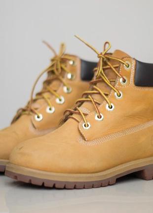 Демисезонные ботинки timberland