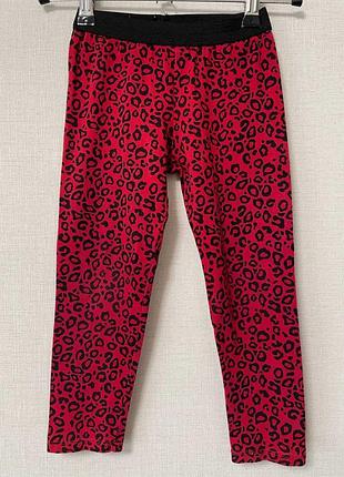 Красные лосины 104-110 см 3267