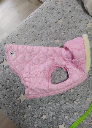 Жилетка для  собаки