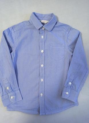 Стильная рубашка h&м в мелкую сине-белую полоску стана новой🔥