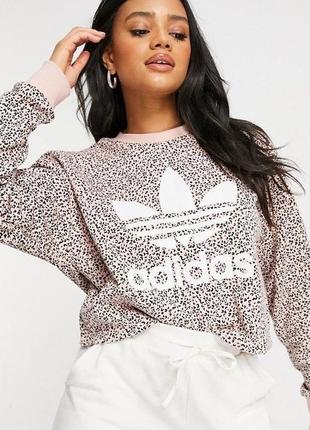 Леопардовый свитшот adidas originals leopard print logo