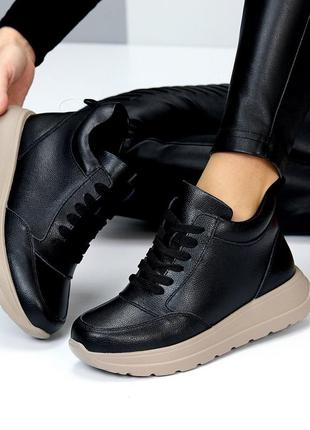 Хайтопи "enigma"