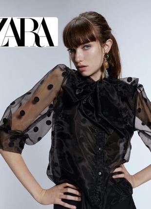 Стильна блузка з органзи zara