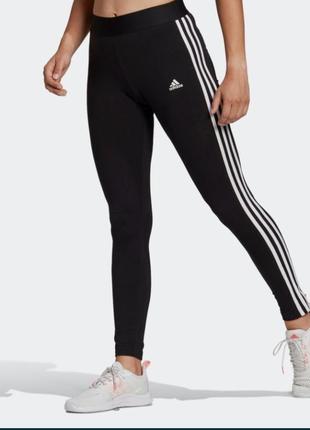 Легінси adidas