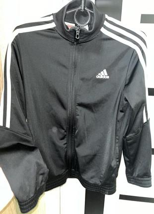 Олімпійка від adidas