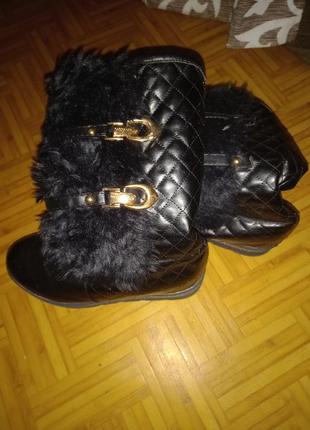 Чобітки зимові