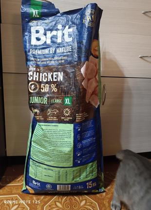 Brit chicken junior для крупных пород остаток 10 кг после малыша амстафа. перешли на натуральное питание.