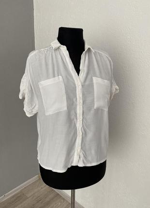 Блузка блузка белая рубашка рубашка