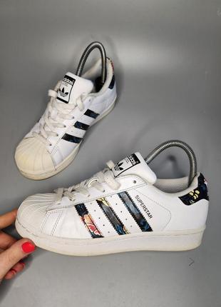 Кросівки adidas superstar