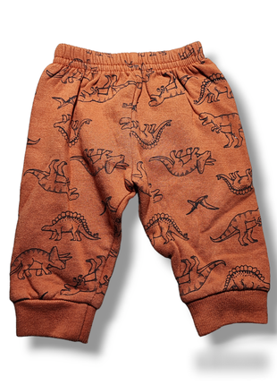 Детские теплые брюки с манжетами динозавры байка