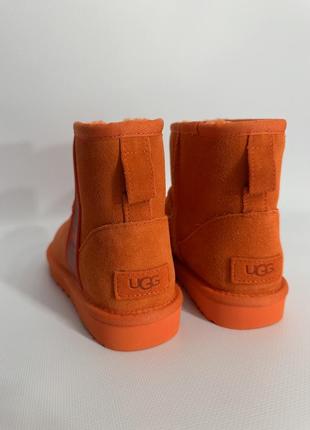 Чоботи ugg2 фото