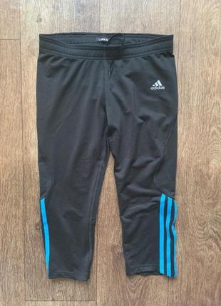 Модні бриджі