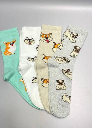 Подарунковий набір шкарпеток жіночих довгих демісезонних з прикольним принтом собачки 36-41 4 пари для дівчат3 фото