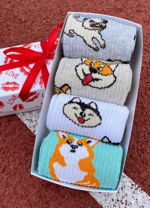Подарунковий набір шкарпеток жіночих довгих демісезонних з прикольним принтом собачки 36-41 4 пари для дівчат8 фото