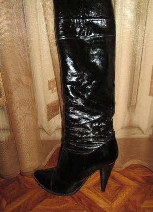 Жіночі демісезонні чоботи mario muzi1 фото