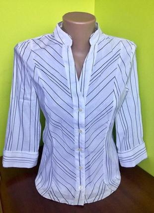 Блуза рубашка офисная белая в черную полоску рукава 3/4 под запонки next petite2 фото