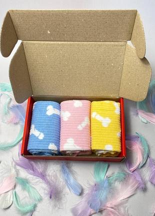 Подарунковий набір шкарпеток жіночих довгих демісезонних з веселим прикольним принтом 36-41 3 шт для дівчат