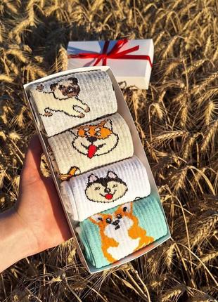 Комплект носков женских длинных весна-осень с классным принтом собачки 36-41 4 пары в подарочной упаковке