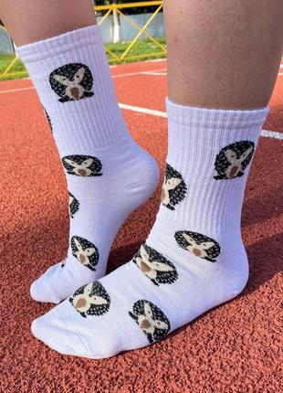 Модні шкарпетки для жінок 1 пара 36-41 з незвичайним принтом "їжачок" білі і високі, бавовняні і якісні