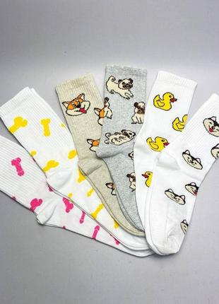 Комплект модних жіночих шкарпеток на 6 пар 36-41 р зі смішним принтом якісні, універсальні та модні м'які2 фото