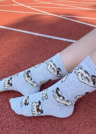Добрі жіночі шкарпетки 1 пара 36-41 з милим принтом "коргі" повсякденні та стильні, демісезонні, молодіжні