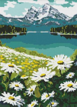 Алмазна мозаїка "квітучі ромашки" ©art_selena_ua amo7803, 30х40см 0201 топ!