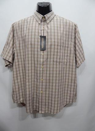 Мужская рубашка с коротким рукавом puritan оригинал (005rk) р.52 (только в указанном размере, только 1 шт)