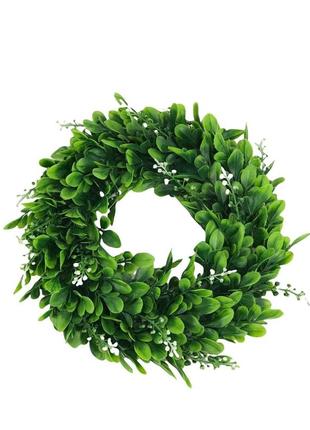 Вінок самшит, зелений