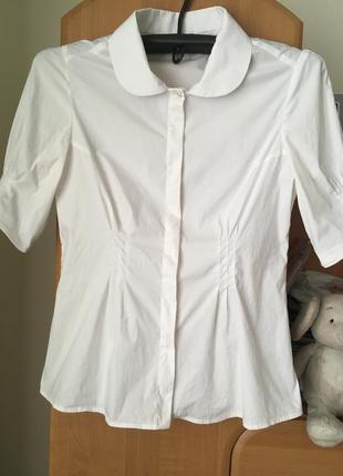 Жіноча блуза