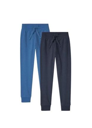 Спортивні штани джогери не утеплені