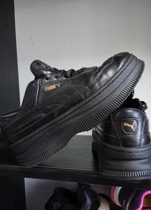 Puma1 фото