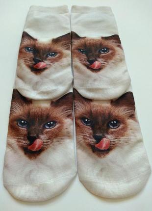 Носки шкарпетки с котиками