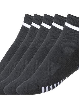 Жіночі шкарпетки crivit