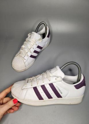 Кросівки adidas superstar