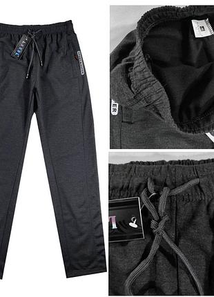 Штани спортивні чоловічі прямі демісезонні 46,48 тем.сірий